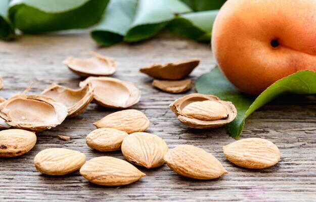 खुबानी के बीज के फायदे - Apricot seeds benefits in Hindi