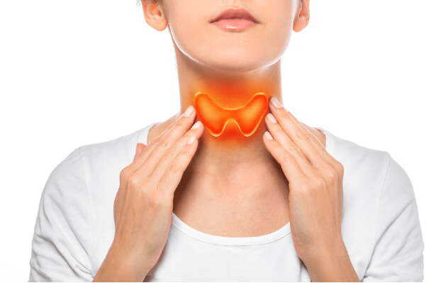 What is a Normal Thyroid Level For Better Health Management