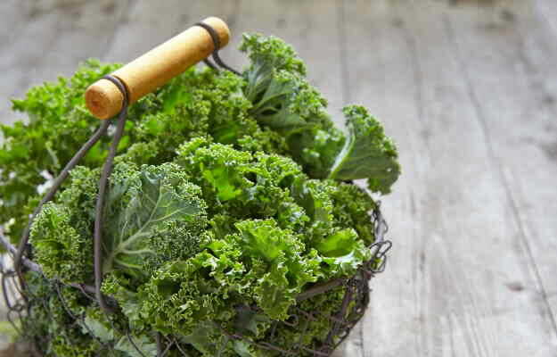 केल के फायदे, उपयोग और नुकसान - Kale benefits, uses and side effects in Hindi