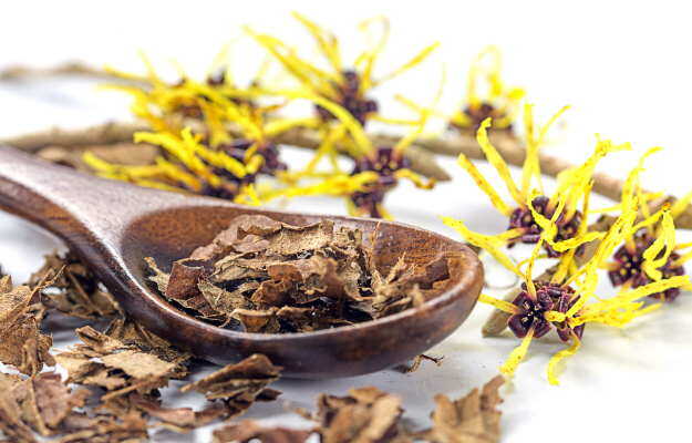 विच हेजल के फायदे और नुकसान - Witch Hazel benefits and side effects in Hindi