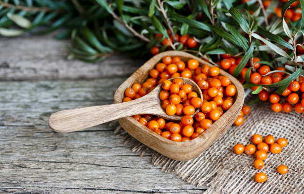 सी बकथॉर्न फल क्या होता है, फायदे और नुकसान - Sea buckthorn fruit benefits and side effects in Hindi