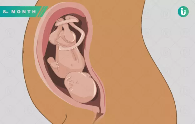 प्रेग्नेंसी का आठवां महीना - Pregnancy Eighth month in Hindi