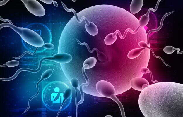 What is sperm, its role, and importance