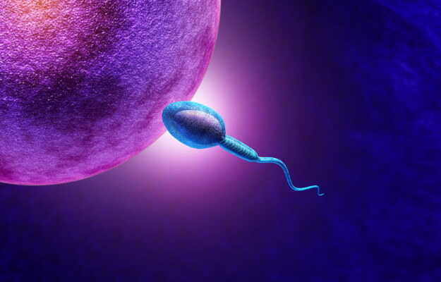 Best medicines to increase sperm count