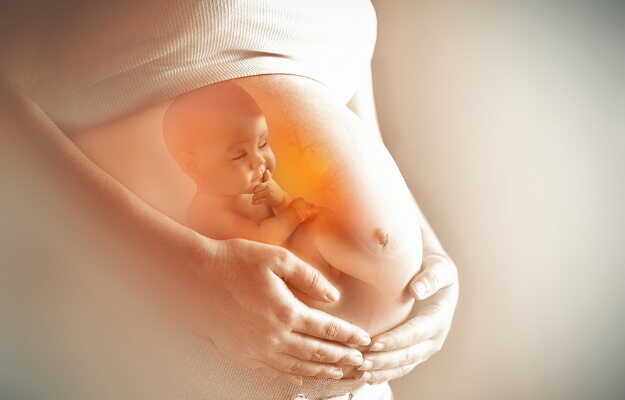 गर्भ में शिशु का निर्माण कैसे होता है? - How does the fetus develop in the womb in Hindi