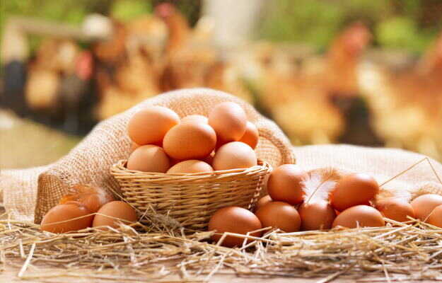 क्या शुगर के मरीज अंडा खा सकते हैं? - Is egg good for diabetes in Hindi