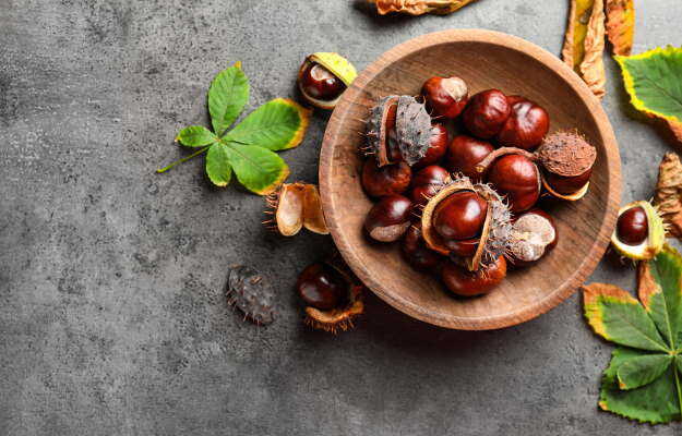 Unlocking the Health Benefits of Horse Chestnut
