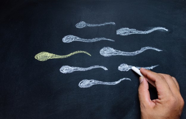 Ginseng for male infertility