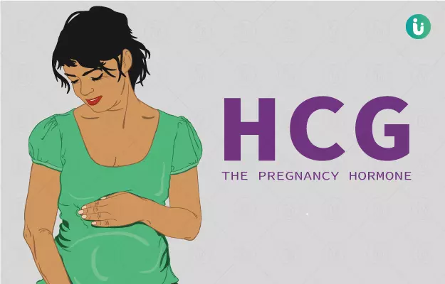 एचसीजी हार्मोन - HCG Hormone in Hindi