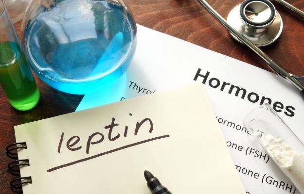 लेप्टिन हार्मोन क्या है, कार्य व स्तर