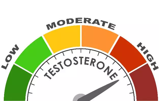टेस्टोस्टेरोन बढ़ाने वाले 7 खाद्य पदार्थ - Natural testosterone booster foods in Hindi