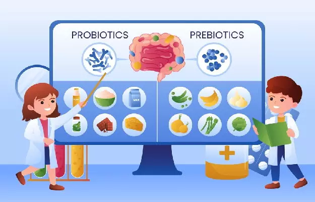Allies for a Healthy Microbiome :Know About Probiotics and Prebiotics