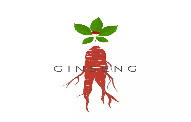 Benefits of Korean Red Ginseng for Erectile Dysfunction