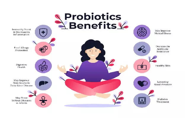 प्रोबायोटिक्स के लिए उत्कृष्ट विकल्प-भारत में 10 सर्वश्रेष्ठ प्रोबायोटिक्स - Healthy Gut, Healthy You: Top 10 Probiotics Tablets Brands in India in Hindi 