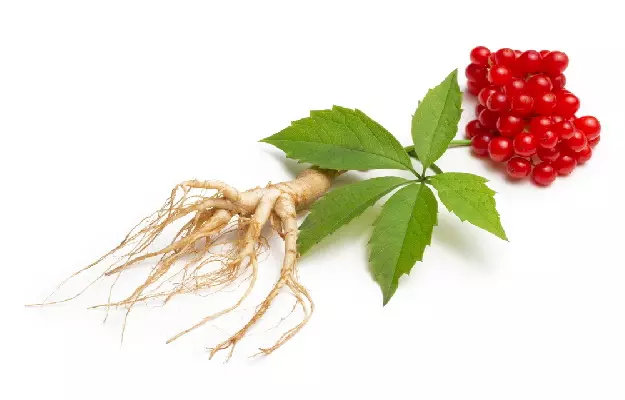 Know About Top 5 Korean Red Ginseng
