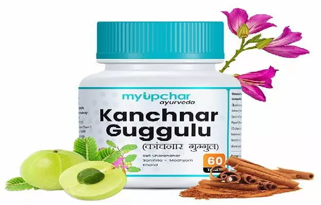 Therapeutic Potential of Kanchnar Guggul-Benefits of Kanchnar Guggul
