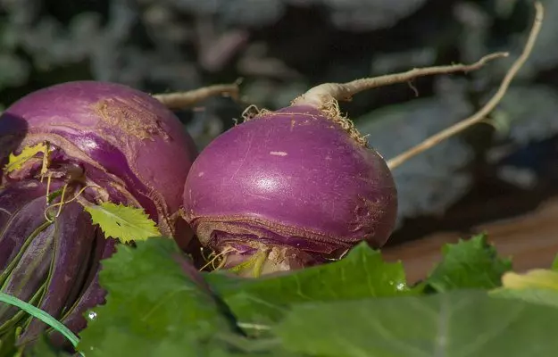 शलजम के रस के फायदे - Turnip Juice Benefits in Hindi