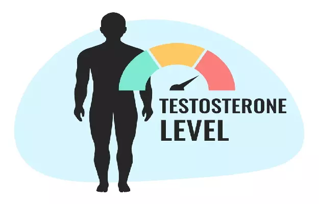 8 Ways to Increase Testosterone For Empowering Masculinity  - 8 Ways to Increase Testosterone For Empowering Masculinity 