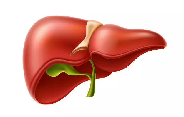 Detoxify and Rejuvenate Your Liver With Best 10 Liver Detox Tablets in India
