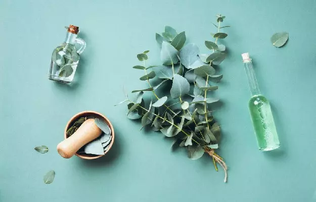 Refreshing Your Tresses: Eucalyptus Oil Benefits for Hair Renewal