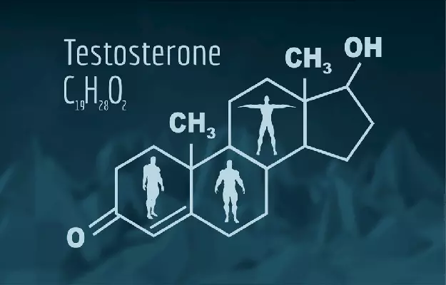 Role of Nutrition in Lowering Testosterone