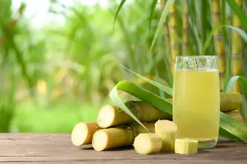 Benefits and Disadvantages of Sugarcane Juice for Diabetes