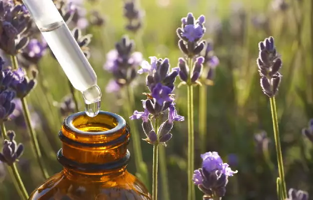 Refresh Skin: Miracle Benefits of Lavender Oil