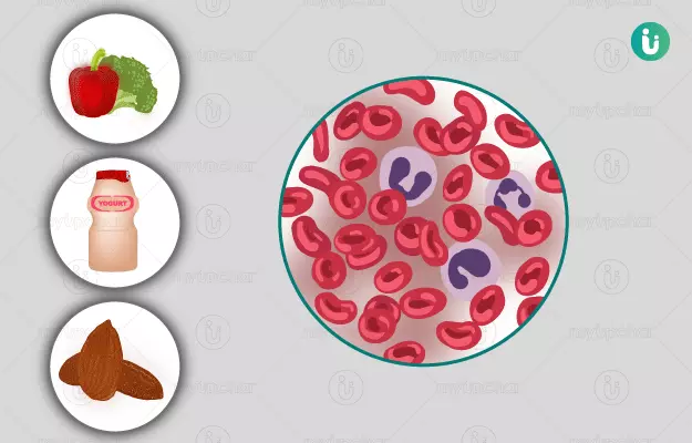 सफेद रक्त कोशिकाएं कैसे बढ़ाएं  - How to increase white blood cell count in Hindi 