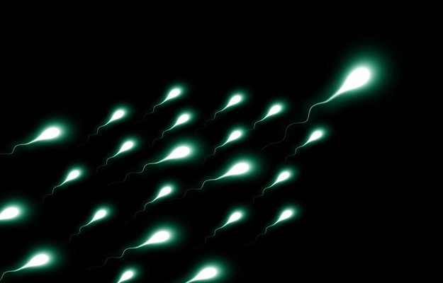 What to eat to increase sperm count?