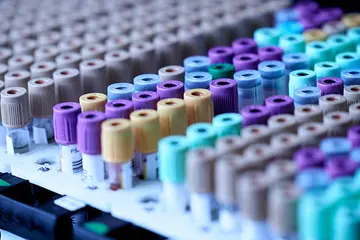 Vialox: A Snake Venom-Inspired Pentapeptide in Modern Peptide Research