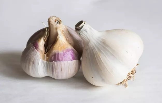 लहसुन और शहद खाने का तरीका और फायदे  - How to have garlic and honey and its benefits in Hindi