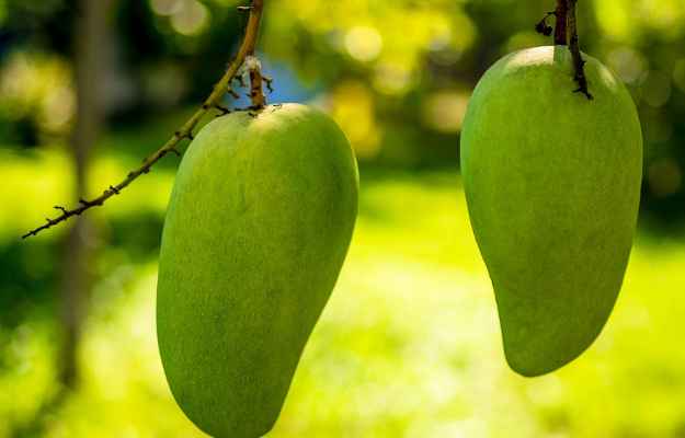 Mango Aam Benefits Uses Nutrition facts Calories and Side