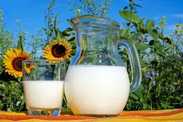 Morning vs. Night: When Should You Drink Milk?