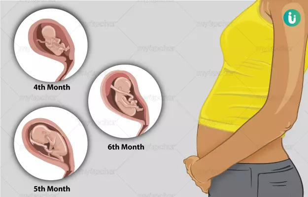 गर्भावस्था की दूसरी तिमाही - Second trimester pregnancy in hindi