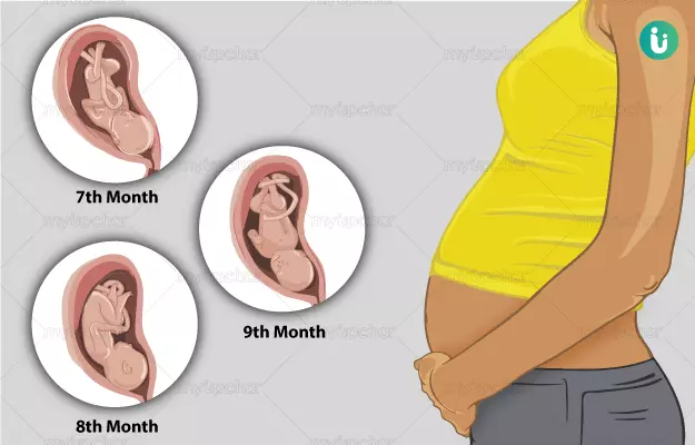 गर्भावस्था की तीसरी तिमाही - Third trimester pregnancy in Hindi