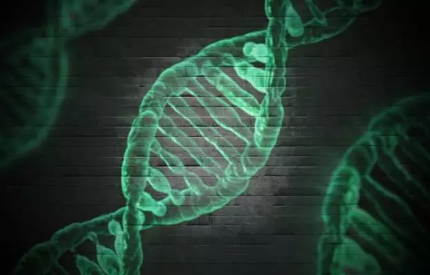डीएनए के प्रकार और कार्य  - DNA in hindi