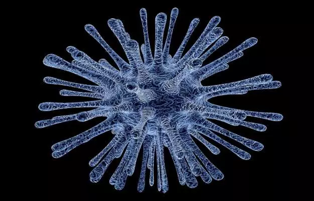 वायरस या विषाणु क्या होता है, प्रकार और इनसे होने वाले रोग - Virus in hindi