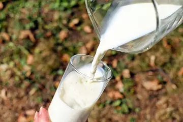 The Amazing Benefits of Buttermilk for Your Health