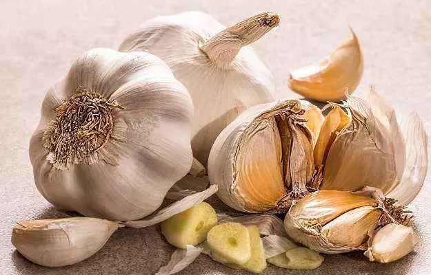 Garlic for Weight Loss