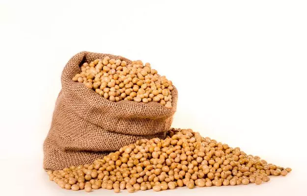 Soybean: Benefits, uses and side effects 