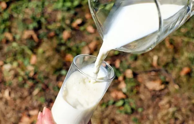 कच्चे दूध के फायदे और नुकसान - Benefits and side effects of raw milk