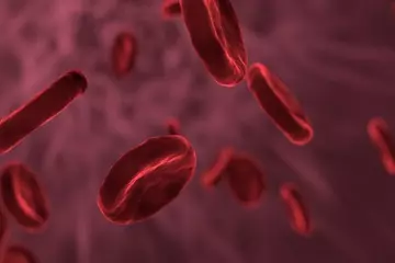 How to Boost Your Red Blood Cell Count Naturally