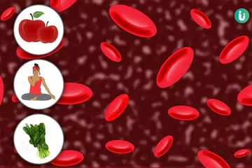 The Role of Nutrition in Raising Hemoglobin: What to Eat