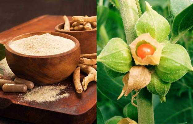 Ashwagandha Benefits, Side Effects, Uses and Dosage