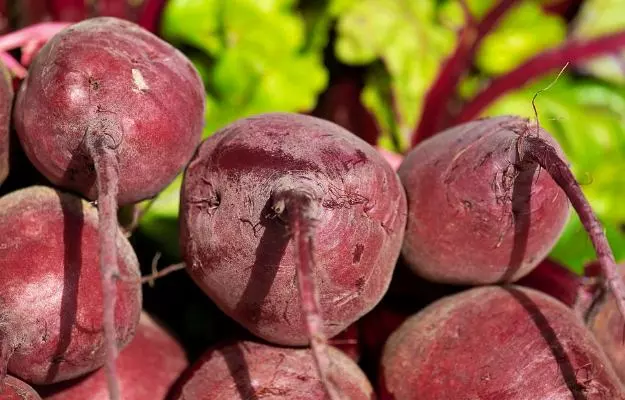 Beetroot (Chukandar): Benefits, Uses, Nutrition Facts, Calories, Side  Effects