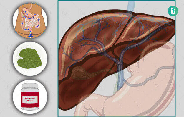 ayurvedic-medicine-and-remedies-herbs-for-liver-disease