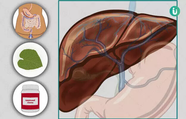 Ayurvedic Medicine and Remedies for Liver disease