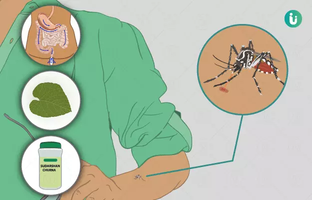 Ayurvedic medicine, treatment and remedies for Malaria