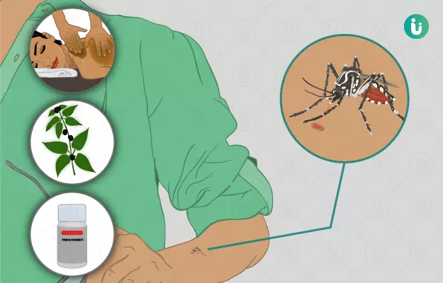 Ayurvedic medicine, treatment and remedies for Chikungunya