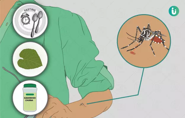 डेंगू बुखार की आयुर्वेदिक दवा और इलाज - Ayurvedic medicine and treatment for Dengue in Hindi